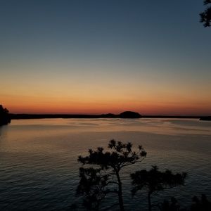 Meet your Posher, Jesse